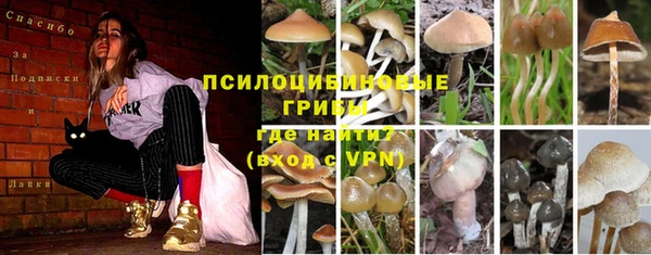 гидропоника Армянск
