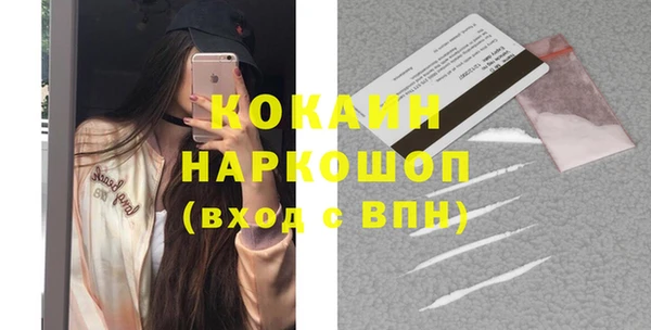 твердый Арсеньев