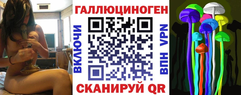 где можно купить   Гаврилов Посад  Псилоцибиновые грибы Psilocybe 